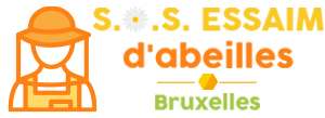Récupération d'essaims d'abeille Bruxelles